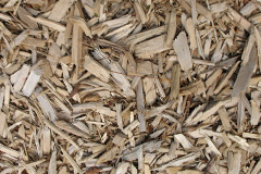 biomass boilers Swallows Cross